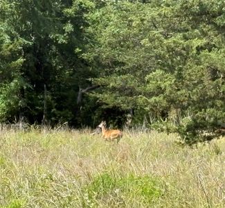 County Road 1280, Clarksville, TX, 75426