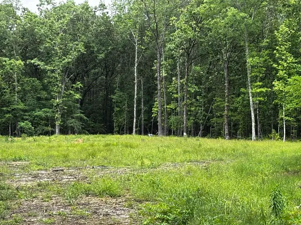 0 Gold Hill Rd, Atkins, AR 72823