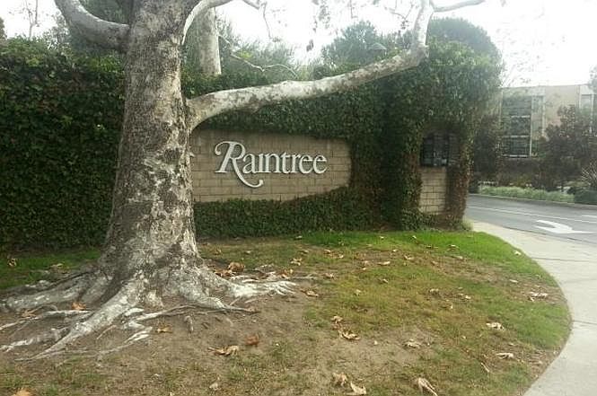 Raintree Condominiums