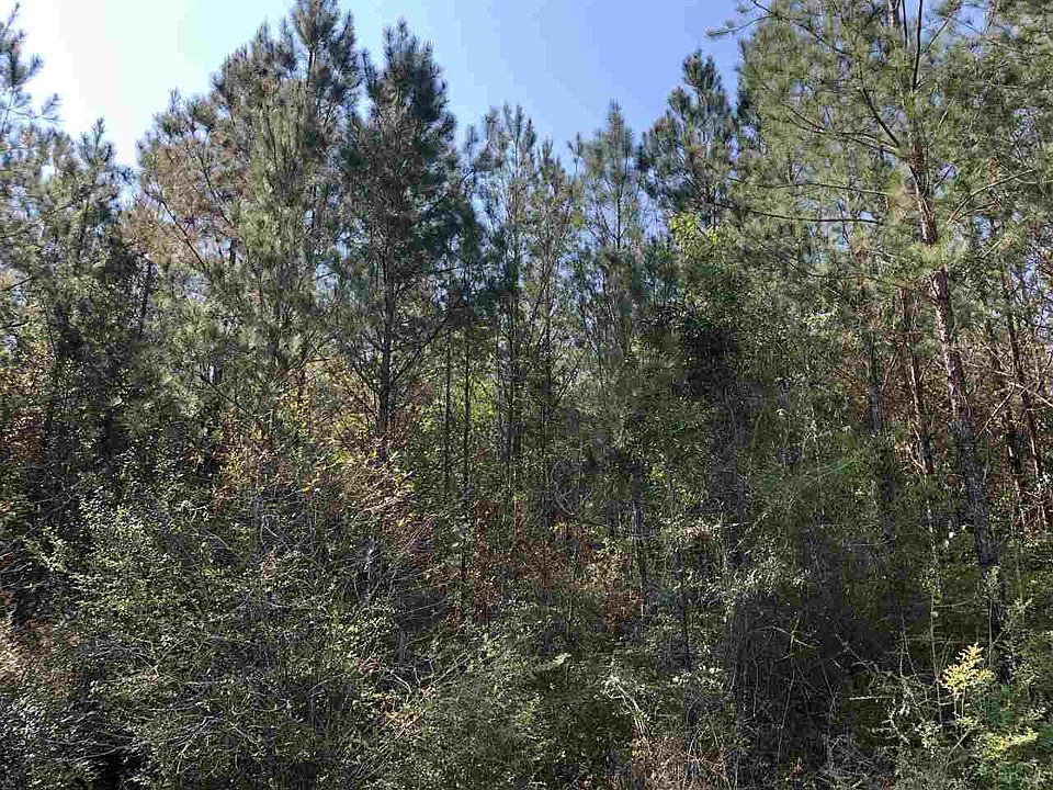 2nd image of Tedder Rd