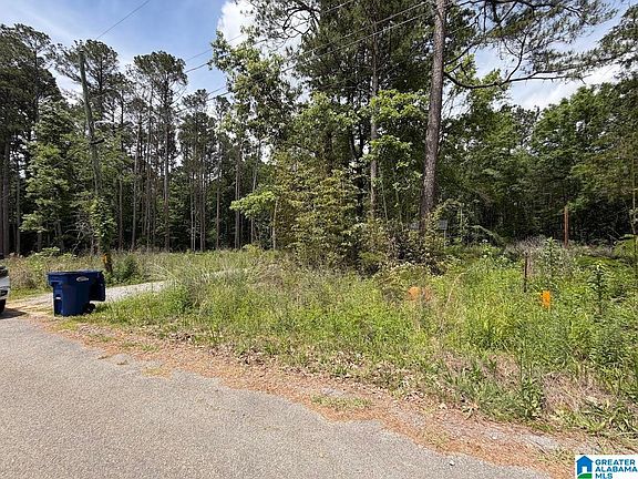 5th image of 243 Whitney Rd