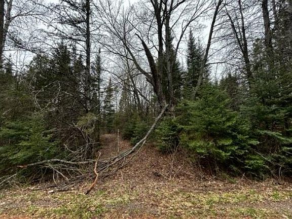 2nd image of On Timber Wolf Rd