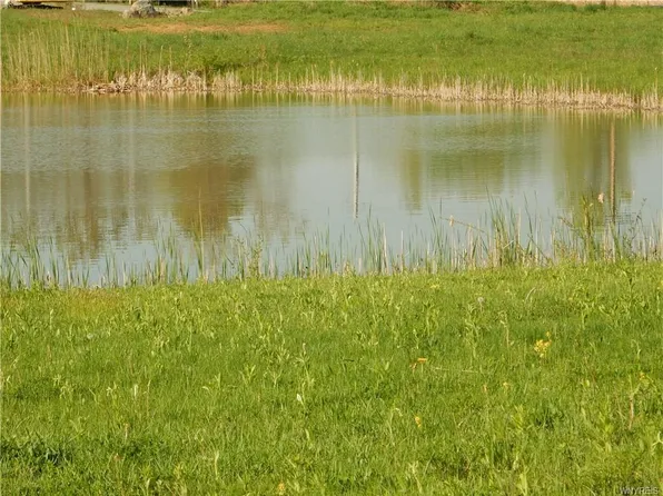 8 Brodies Way, Akron, NY 14001