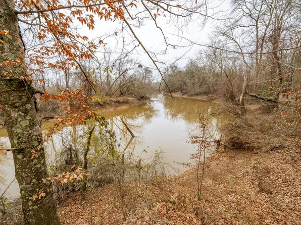 10970 Pea Vine Rd, Pocahontas, TN 38061