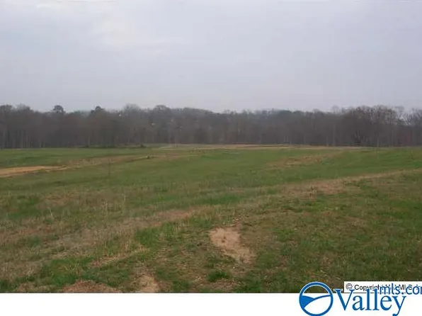 Ellis Rd, Boaz, AL 35957