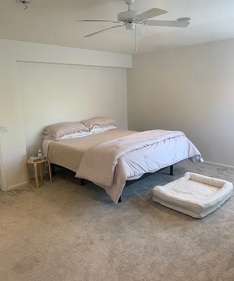 551 Dew Point Ave — Photo 14