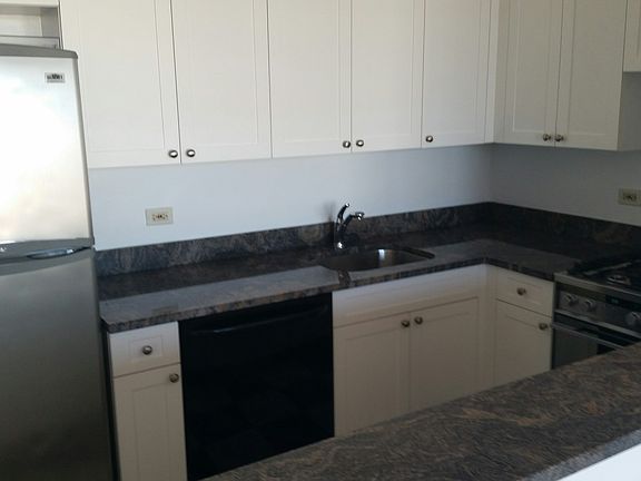 4th image of 250 E Houston St Ph K