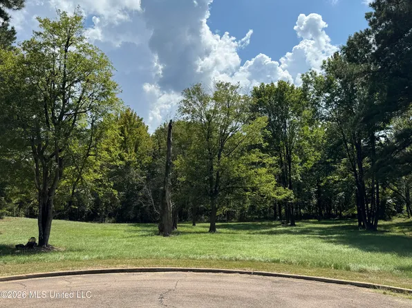 119 Bristol Dr Lot 19, Madison, MS 39110