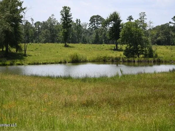 Tba County Line Road Rd #7, Wiggins, MS 39577