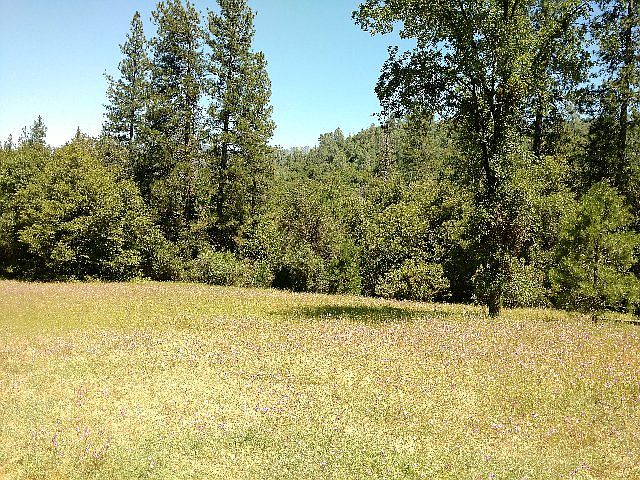 2nd image of 1839 Apple Seed Ln