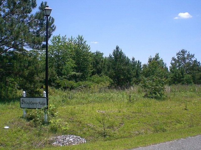 2nd image of 125 Blackberry Ln