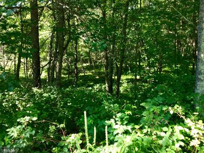 LOT 4 Egret Rd, Crosslake, MN, 56442