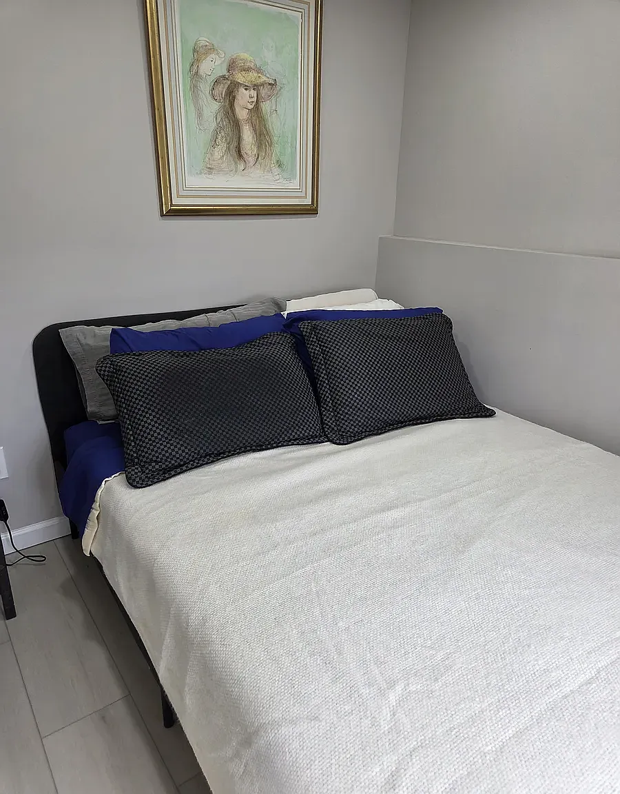 1 bed, 650 sqft, $2,500 — Photo 4