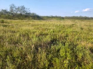 49 Boren Private Rd, Wortham, TX 76693