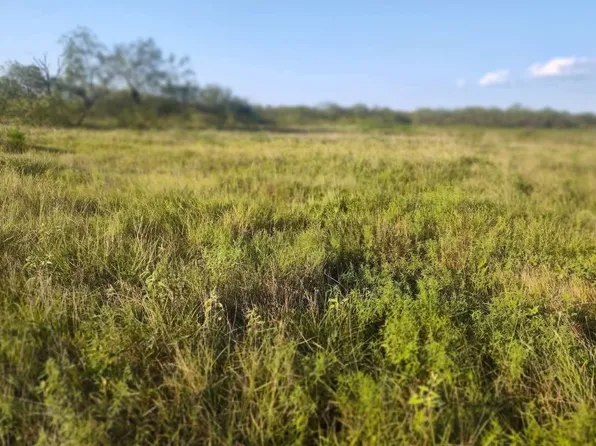 49 Boren Private Rd, Wortham, TX 76693