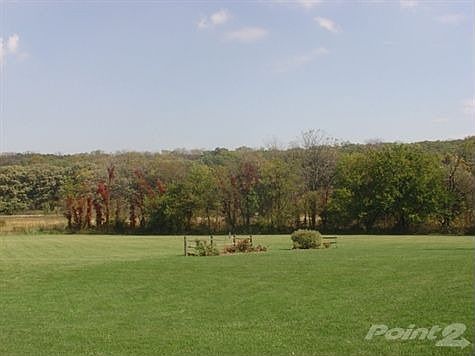 back yard and forest preserve
