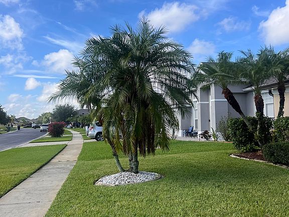 River Birch Dr. view: 
Beautiful palm-lined street in a peaceful gated community.