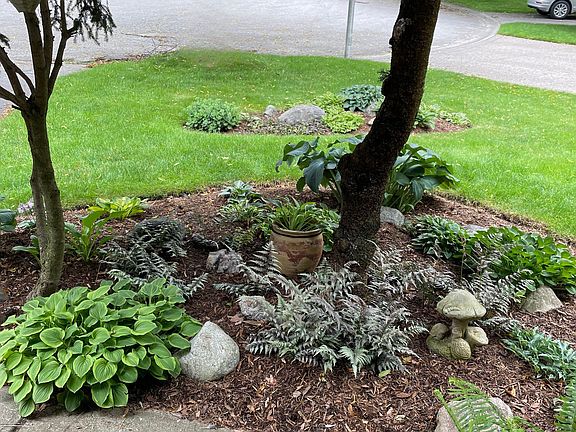 4th image of 126 Somerset Rd