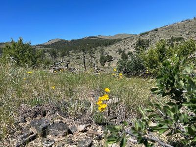 Path, Canon City, CO, 81212
