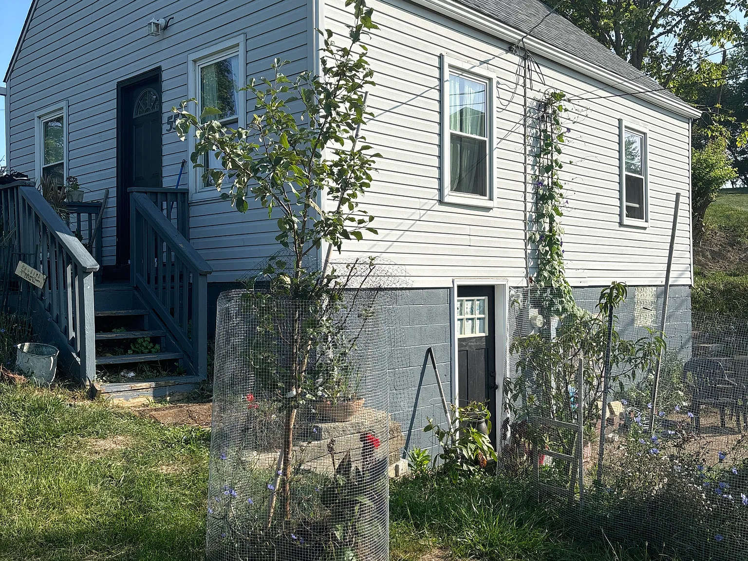 3 bed, 882 sqft, $1,550 — Photo 2