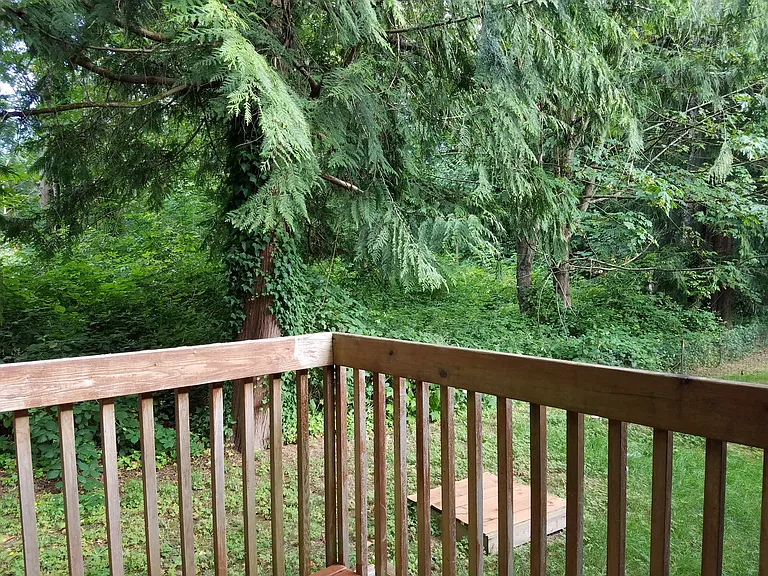 4127 Phillips Rd SE — Photo 22