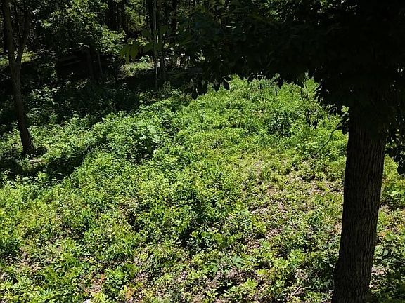 4th image of 12 Cherokee Dr