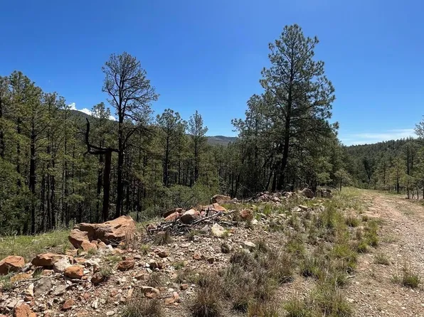 29 Beauregard Dr, Timberon, NM 88350