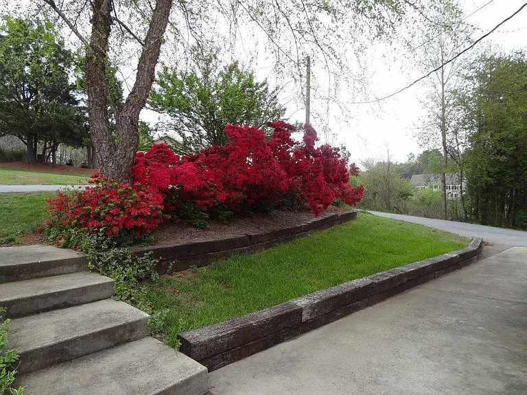 167 Pier Point Dr — Photo 62