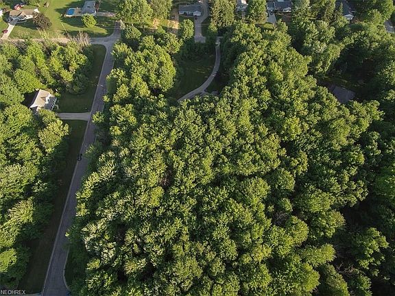 5th image of 3536 Little Blvd