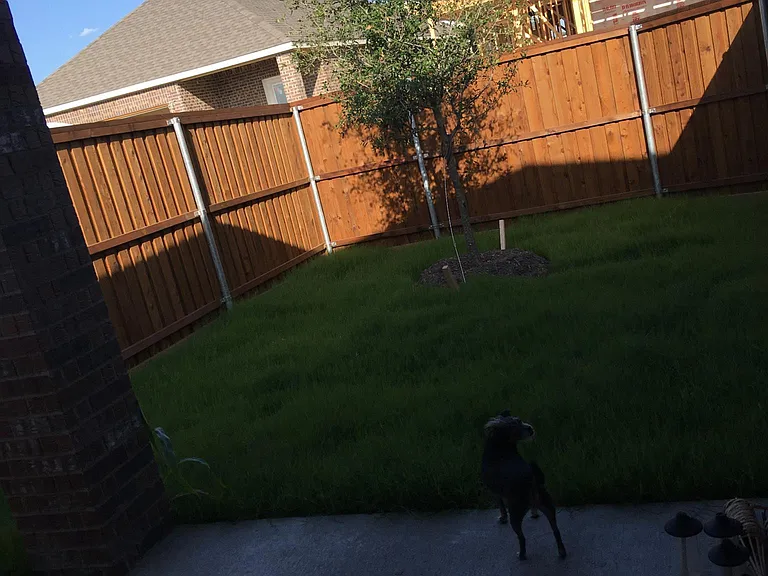 2157 Olivereta Dr — Photo 8