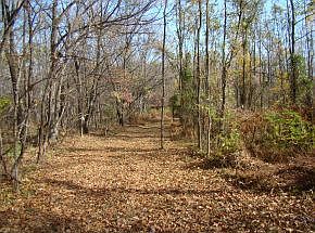 2nd image of Tbd Mount Wesley Rd