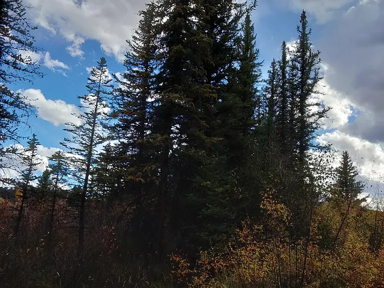 1532 Snowmass Creek Rd — Photo 11