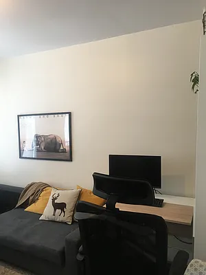 Rented by Amorelli Realty | media 22