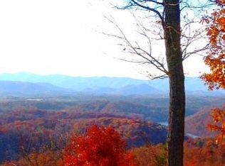 50 Running Ridge Rd, Asheville, NC 28804