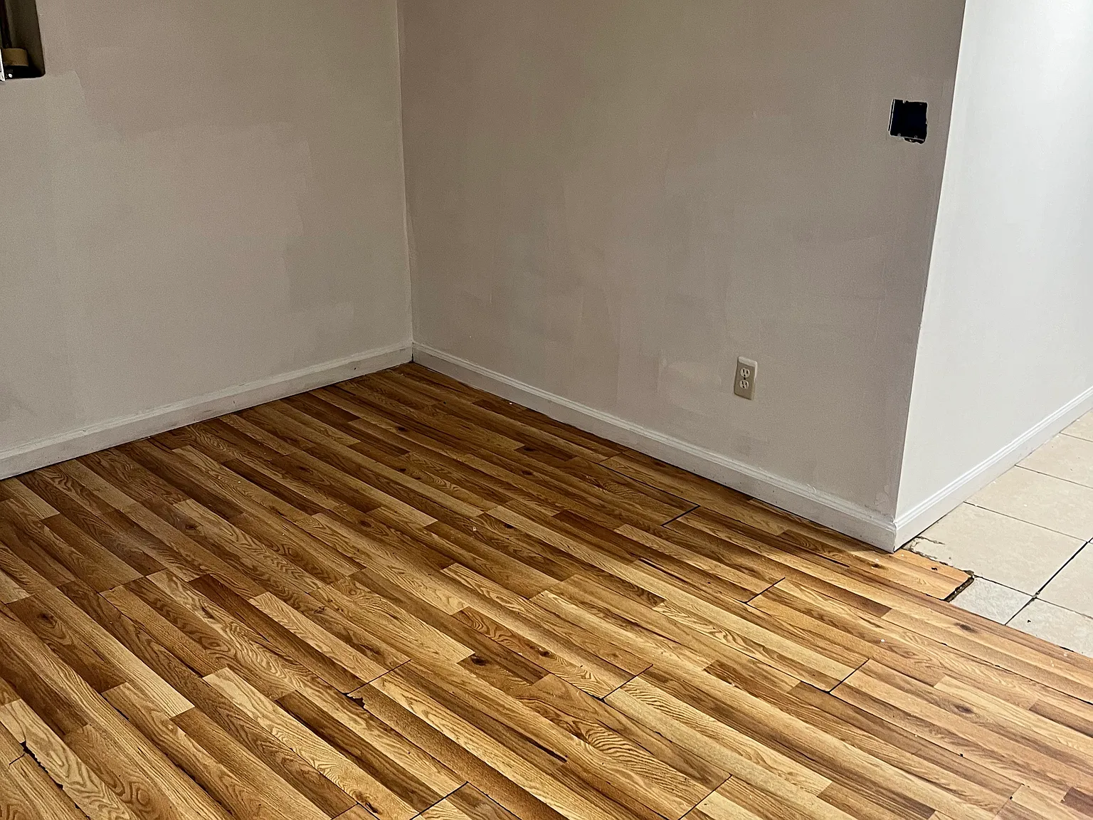 Studio, 1666 sqft, $1,300 — Photo 2