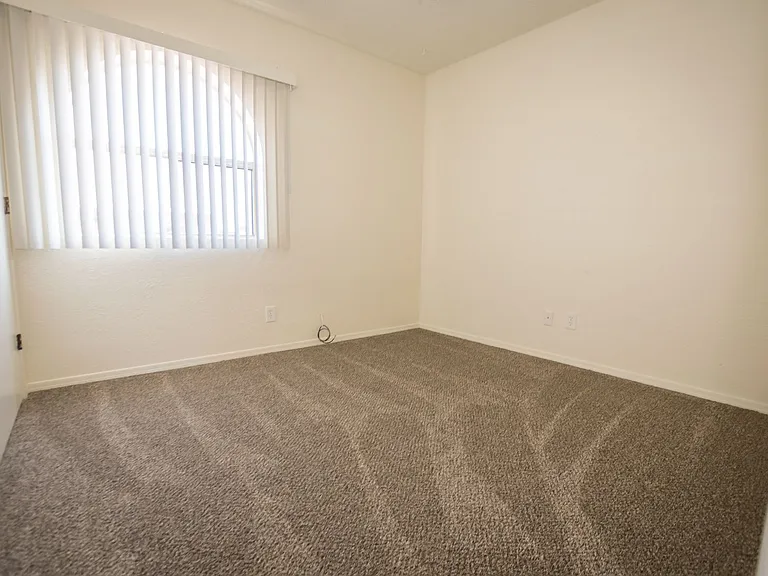 100 Terra Dr — Photo 23