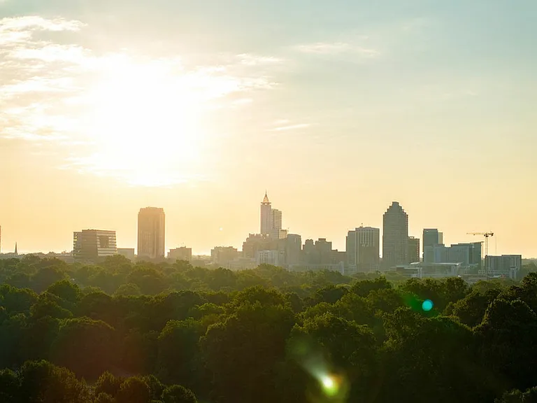 Raleigh Local Area