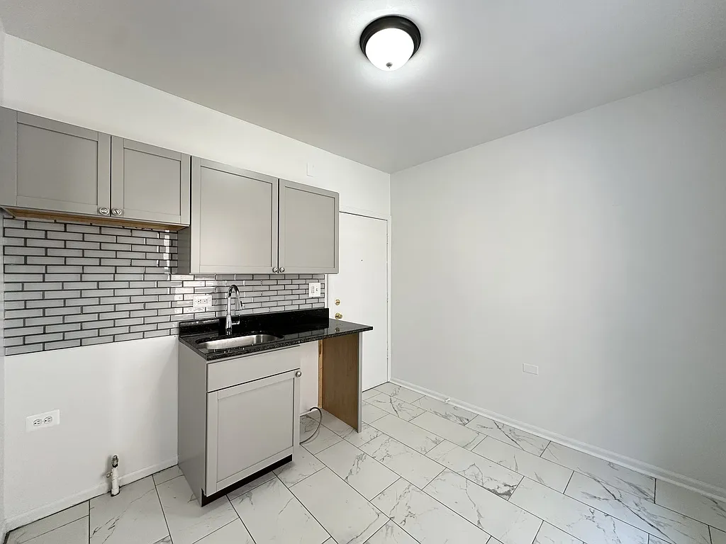 Cheerful Studio, 1 Bath at Magnolia + Devon (Rogers Park) — Photo 3