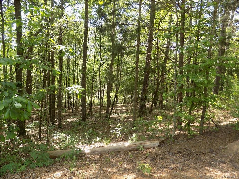 1st image of County Road 61
