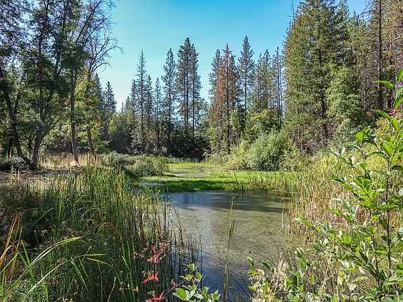 4th image of 10206 Quartz Valley Rd
