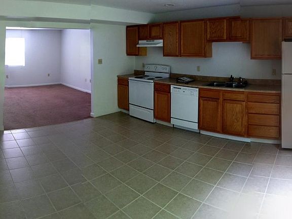 Kitchen and living room area