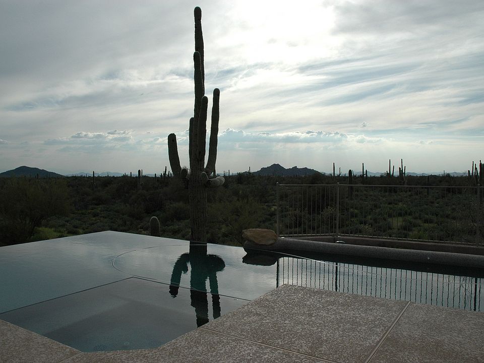 The beautiful backyard