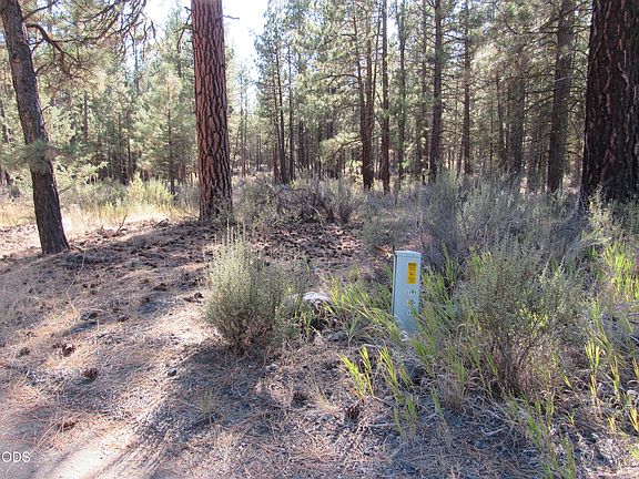 5th image of 0 Lone Pine Rd #256163