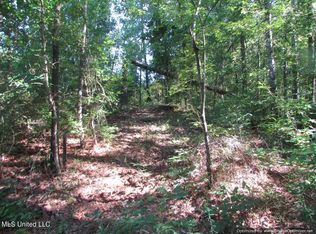 Gaile Rd, Carthage, MS 39051