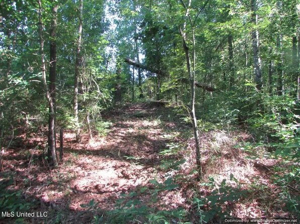 Gaile Rd, Carthage, MS 39051