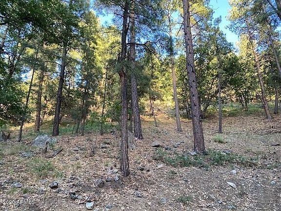 5th image of 5445 E GOLD PAN Way #5