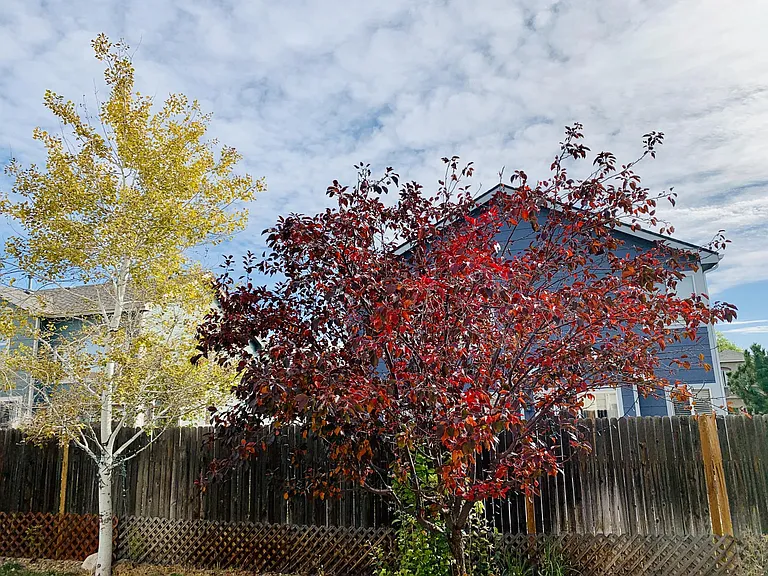 12412 Clermont St — Photo 21