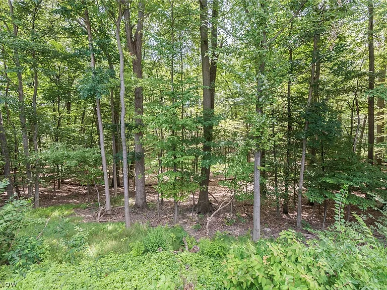 7020 Carriage Hill Dr #202 — Photo 43