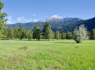 2 Ulrich Ln, Mazama, WA 98833