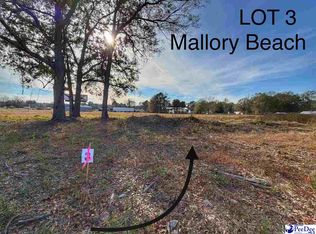 LOT 3 Mallory Beach Rd, Latta, SC 29565